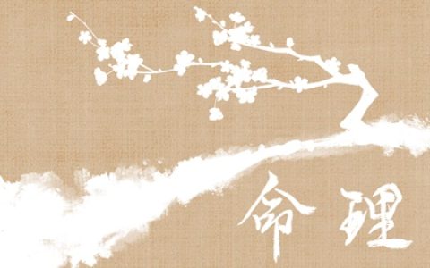 印格用财是什么格局 印格用财的优点