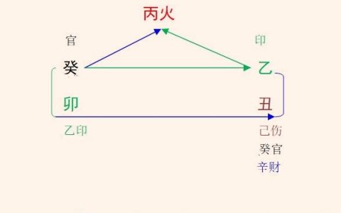 2023癸卯年乙丑1月八字丙火命人运势