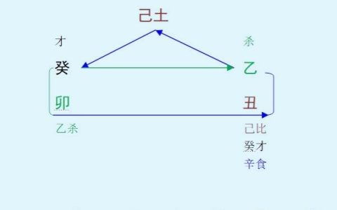 2023癸卯年乙丑1月八字己土命人运势