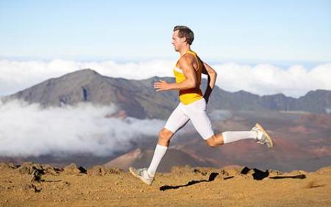 丙火男命2024年运程 2024年丙火男命的运势走向