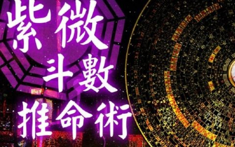 紫微斗数怎么排盘
