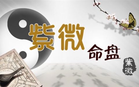 宫位体系对斗数的意义