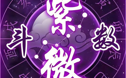 紫微斗数命盘怎么看盘？