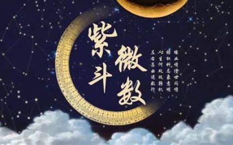 紫微斗数渊源