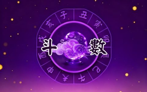 紫微斗数看大限必死在哪一宫