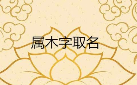 五行属木的字有哪些