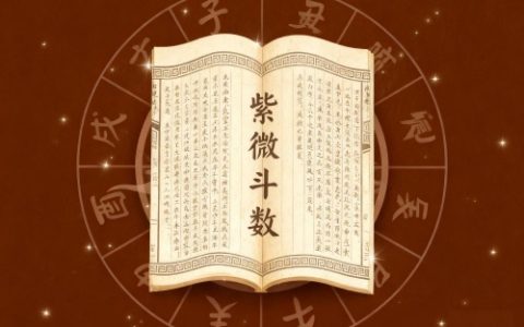 紫微斗数怎么看正缘出现时间