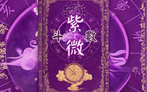 紫微斗数怎么看事业发展方向