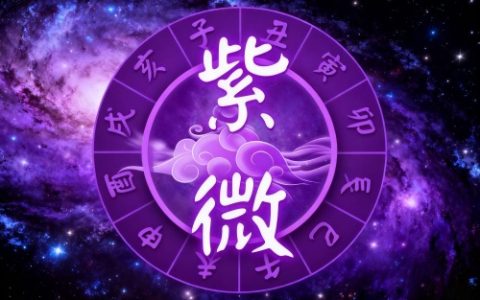 紫微斗数如何看事业变动与发展