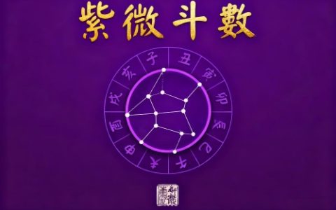紫微看配偶年龄怎么看