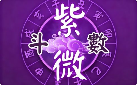 紫微斗数看配偶长相