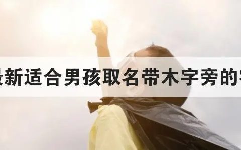 木字旁的字男孩起名字 20个木字旁的字男孩起名精推