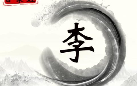 姓李以意字结尾的女孩名字