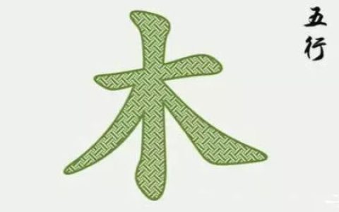 五行属木的汉字大全