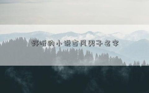 小说中好听的男生名字，超好听的小说男生名字