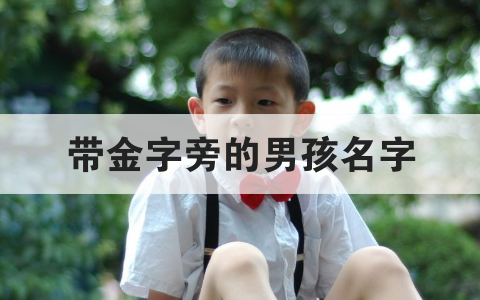 金字旁的男孩名字大全，男孩起名参考