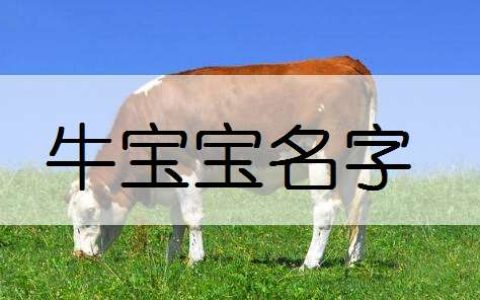 男孩的名字响亮寓意好的2021属牛，牛宝宝好听名字大全