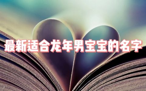 生肖属龙的男宝宝取名大全