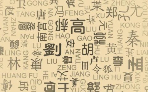 百家姓人口排名大全