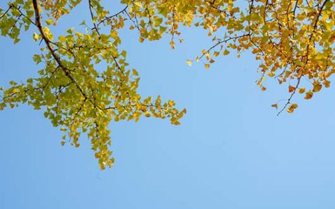 2023年11月3日黄道吉日查询