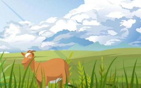 属羊的开公司起名大全 顺丰又顺水的公司好名