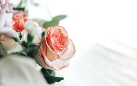 2023年农历十一月最佳结婚的好日子 哪天是结婚的黄道吉日