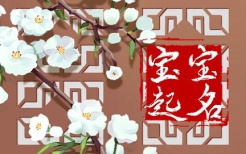姓高女孩优雅好听的名字有哪些