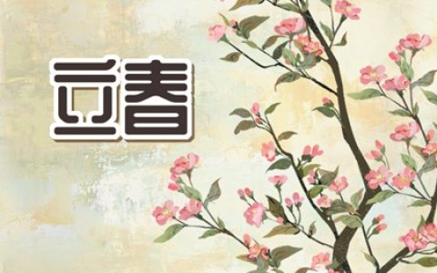 2023年立春的天干地支 2023年立春八字