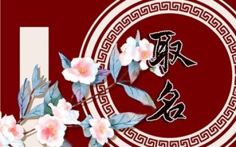 2024甲辰年的男宝宝姓穆