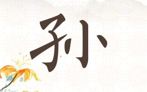 孙姓龙宝宝取名字大全