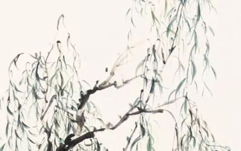 2024年2月19日雨水适合提车吗 可以买新车吗