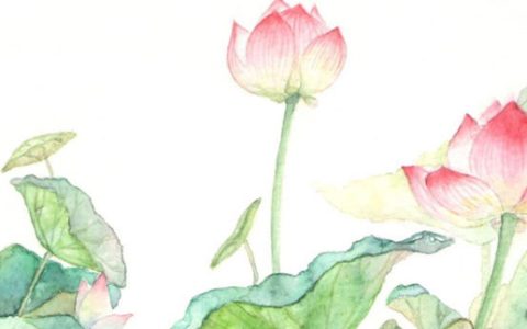2024年3月12日植树节适合提车吗 可以买新车吗