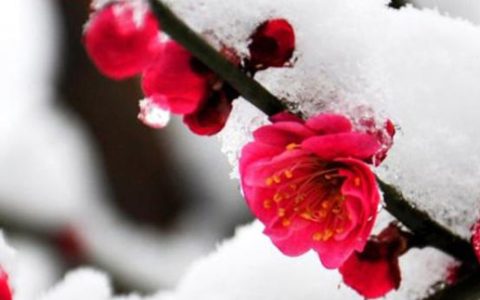 2023年农历十月初九选择外出办事合适吗 是不是出行吉日