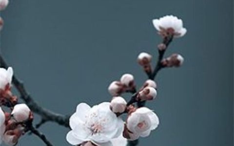 2023年农历十月十三是店铺开张黄道吉日吗  开业好不好
