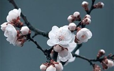 2023年农历十月十五是开张大吉好日子吗  门店开业吉时查询