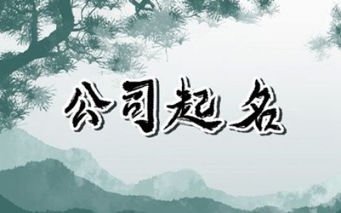2024甲辰年大气的名字教育公司合集