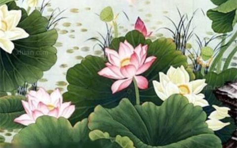 2023年12月提车黄道吉日有哪几天 最好的上牌日子