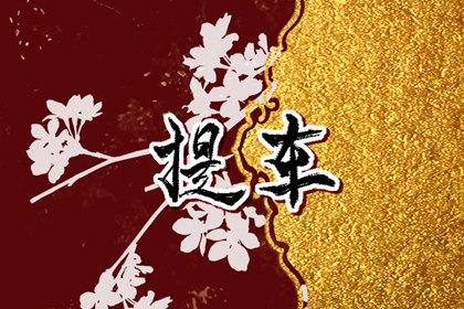 提车吉日查询免费&nbsp;2024年四月生肖鸡宜提车的好日子