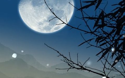 2024年建材公司起名大全 适合建材公司的名字