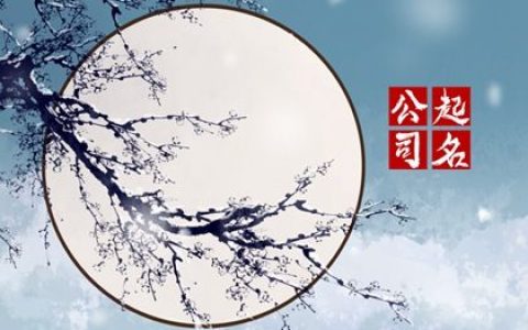 2024龙年装饰公司名字大全