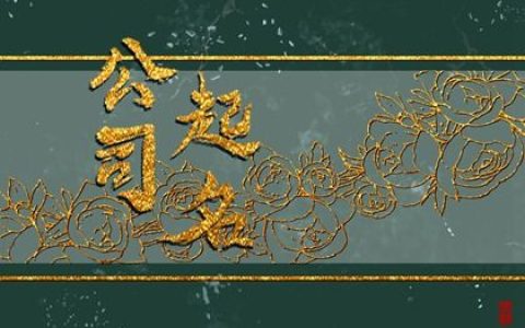 2024龙年好听的美容公司名字