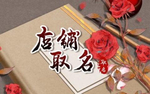 轻奢品牌店取什么名字好