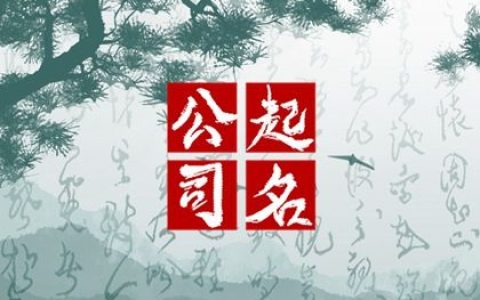 2024龙年新潮的计算机公司名字