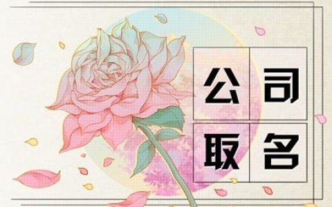 独特的计算机企业名字合集