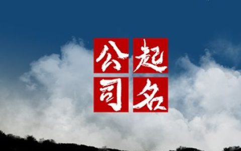龙年宜取的投资公司名称