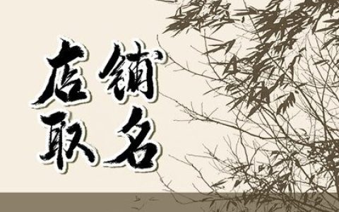 2024年优雅有情调的美容店铺名字