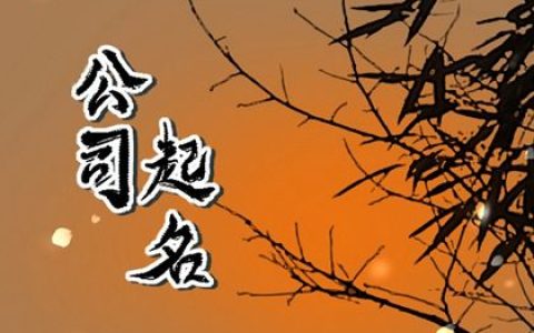 2024龙年高大上的企业名字大全