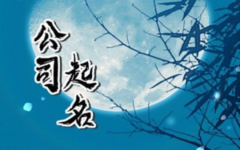 2024龙年有涵养的公司名字