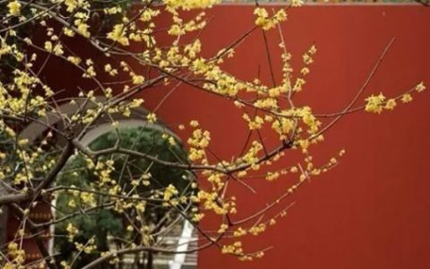 2024年2月19日雨水是开工好日子吗 开工复工最佳吉时