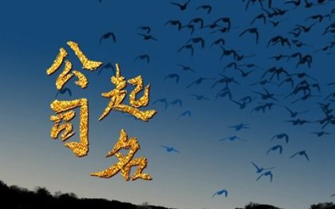 2024龙年好听寓意好的建筑公司名字